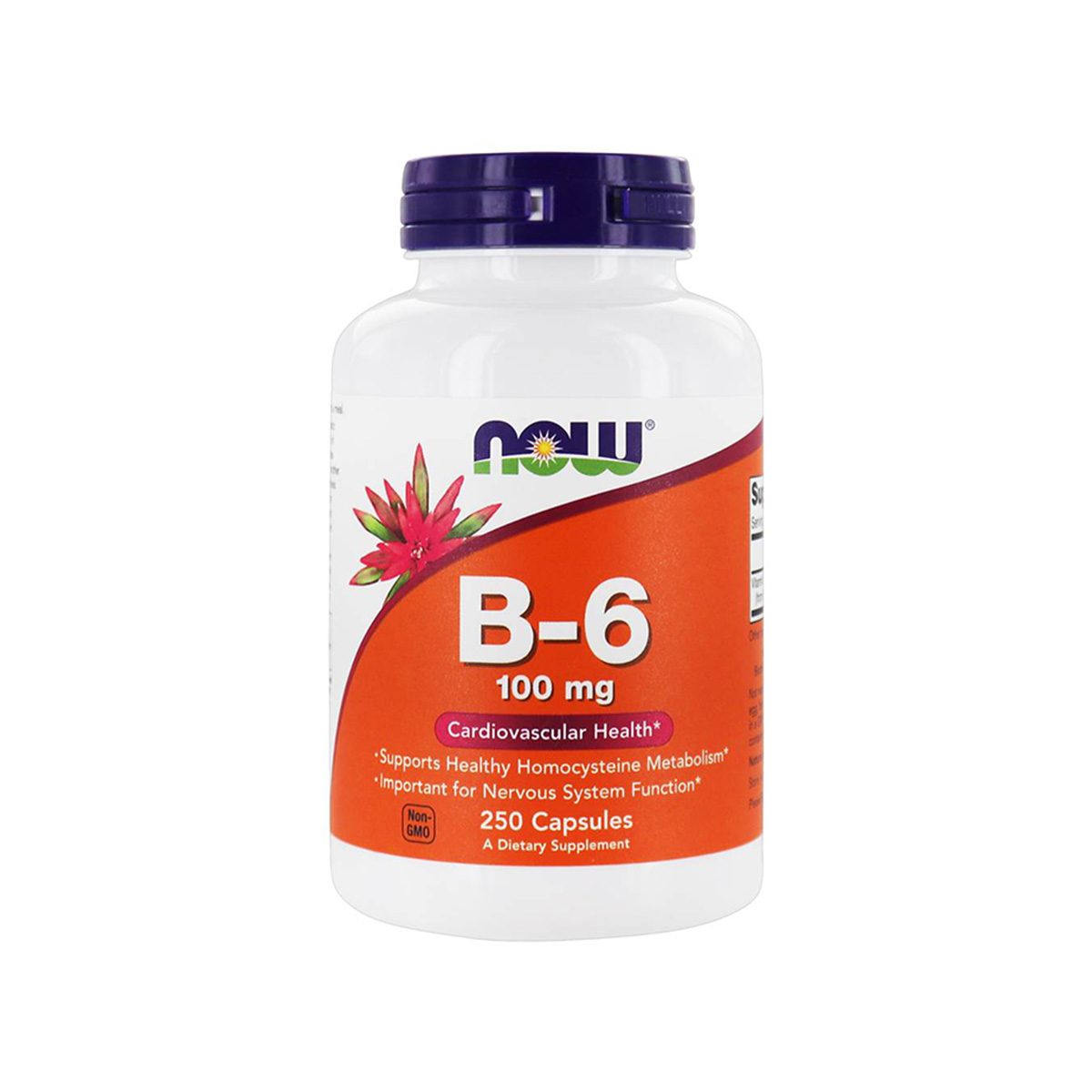 Now – Vitamina B-6 100mg