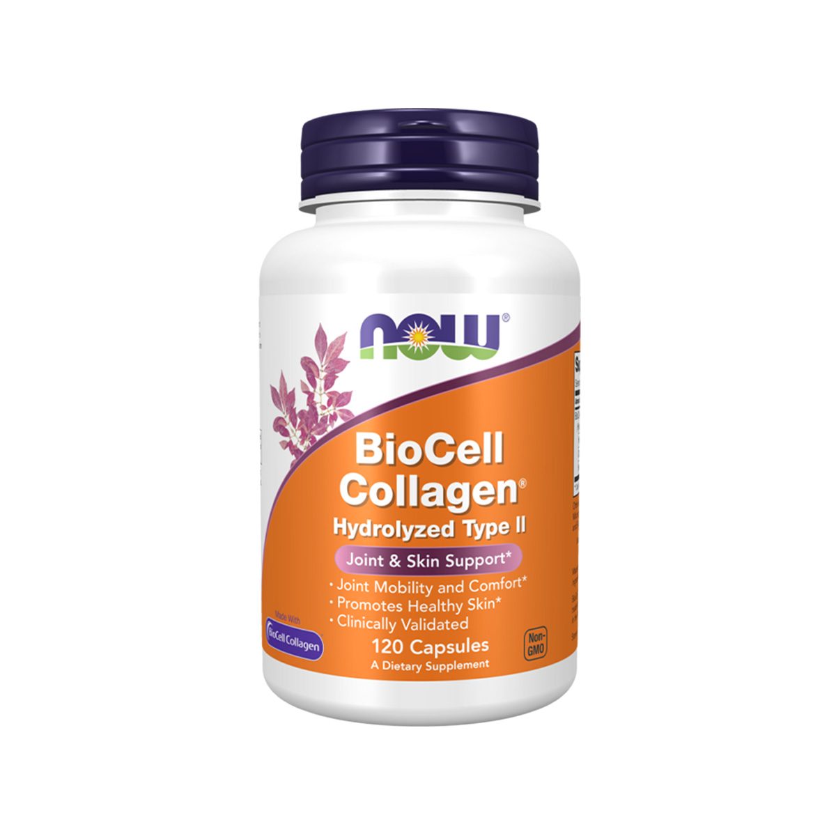 Now – BioCell Collagen® Hydrolyzed Type II
