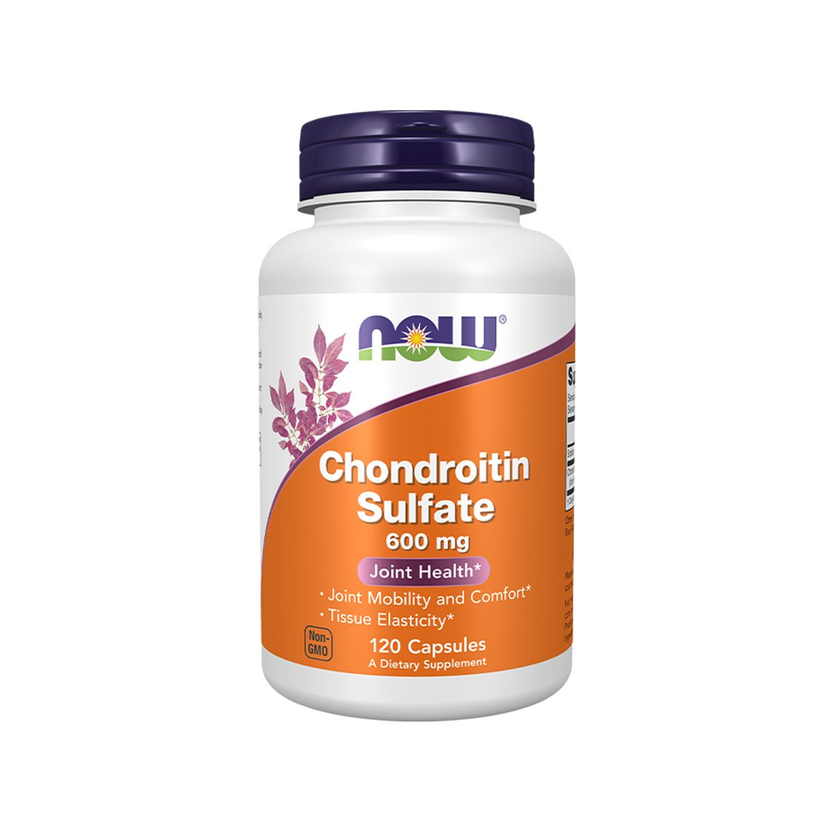 Now – Chondroitin Sulfate 600 mg