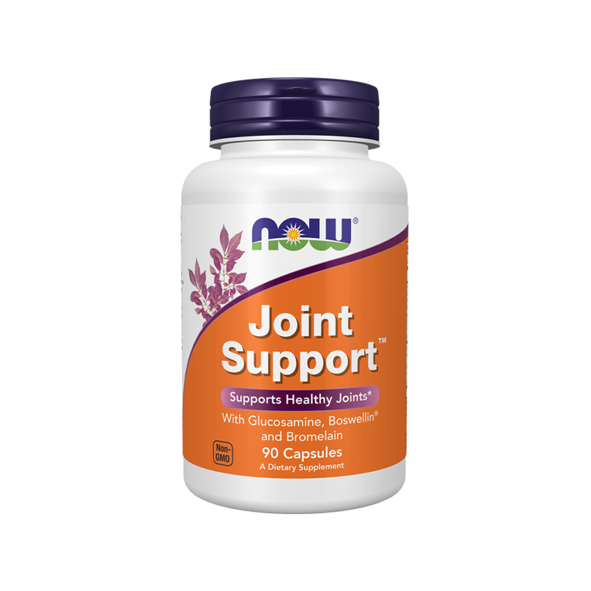 Now – Joint Support