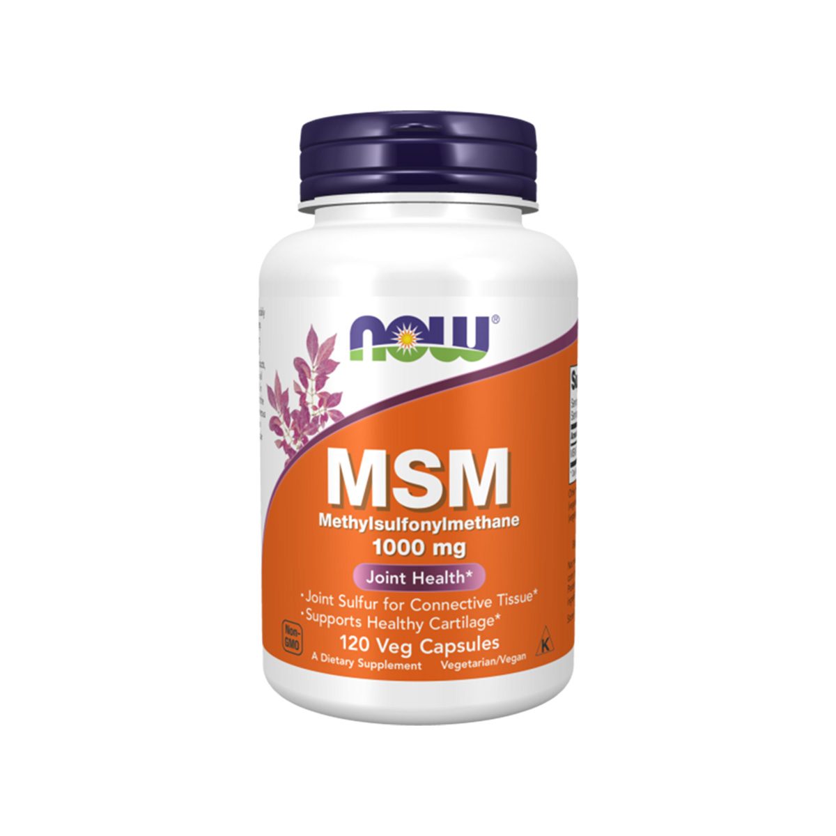 Now – MSM 1000mg