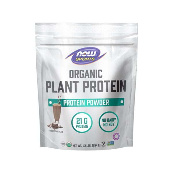 now-organic-plant-protein-544g.jpg Now – Organic Protein Chocolate Powder