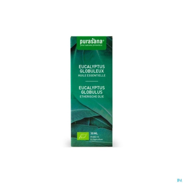 Purasana - Vaj Eukalipti