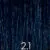 2.1 (Blue Black)