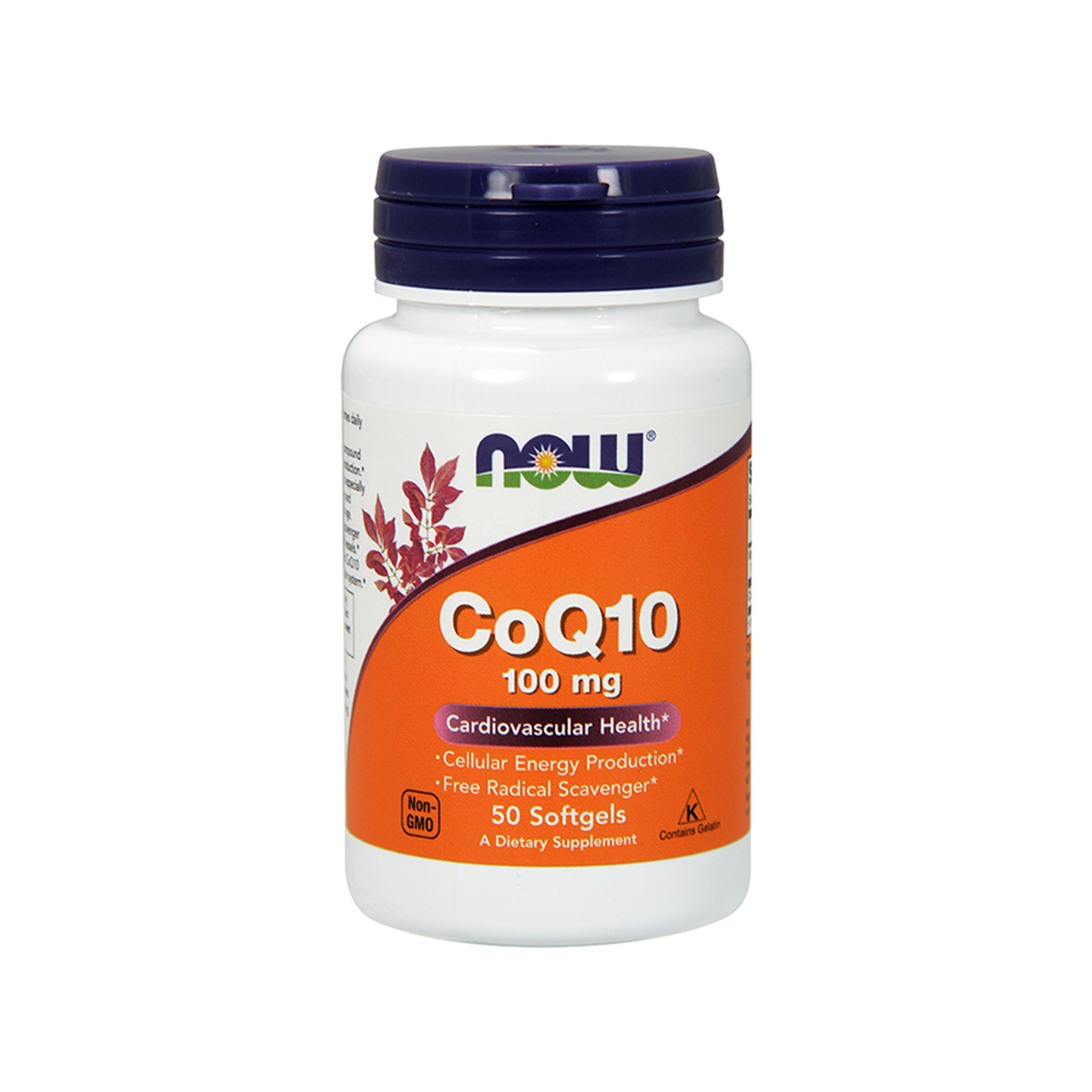 Now – Co-Q10 100mg